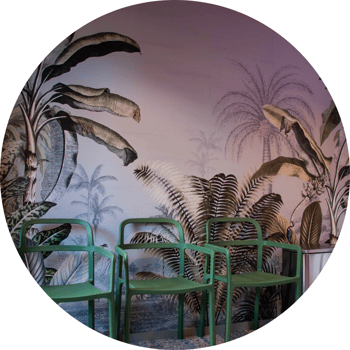 Clean Kokos vaskerier i Bergen Clean Kokos vaskerier i Bergen